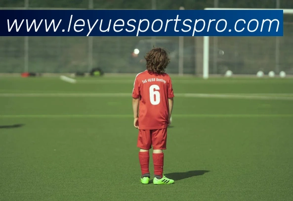 乐鱼APP 体育赛事宣传图